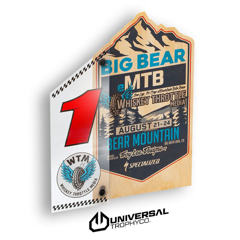 MULTIDIMENSIONAL AWARDS